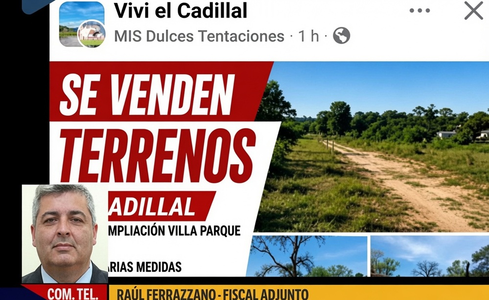 El gobierno decidió avanzar con todo contra los responsables de la venta ilegal de terrenos, revelada a partir del hallazgo de publicaciones en redes sociales.
