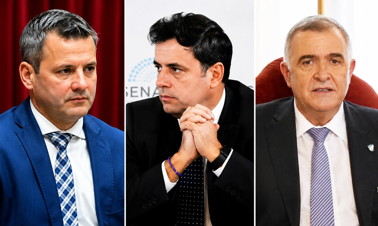 Campero, Catalán y Jaldo